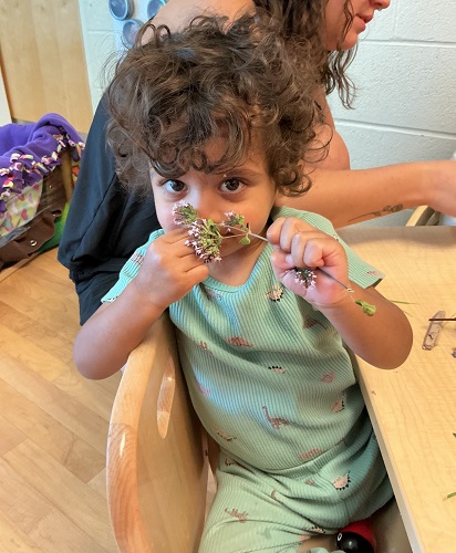 A child smelling flowers