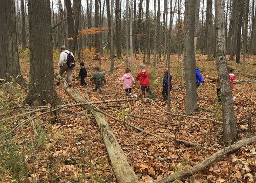 Educator and children walking through the forest